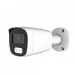 ������ ��������������� IP 4�� ������� (Full Color) ICF46IR AltCam